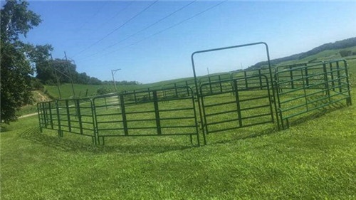 Corral Panels For Cows, Cattle, Horses