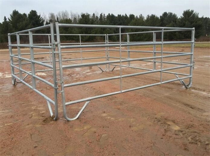 Best Corral Panels For Cattle
