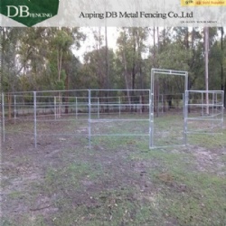 Cattle Panels & Gates for Sale in Australia